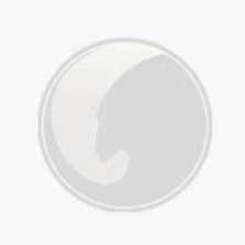 Spekband 130 x 60 mm Belgisch Hardsteen (gezoet) *** AANPASBAAR m¹